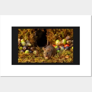 Wild  cute garden mouse Posters and Art